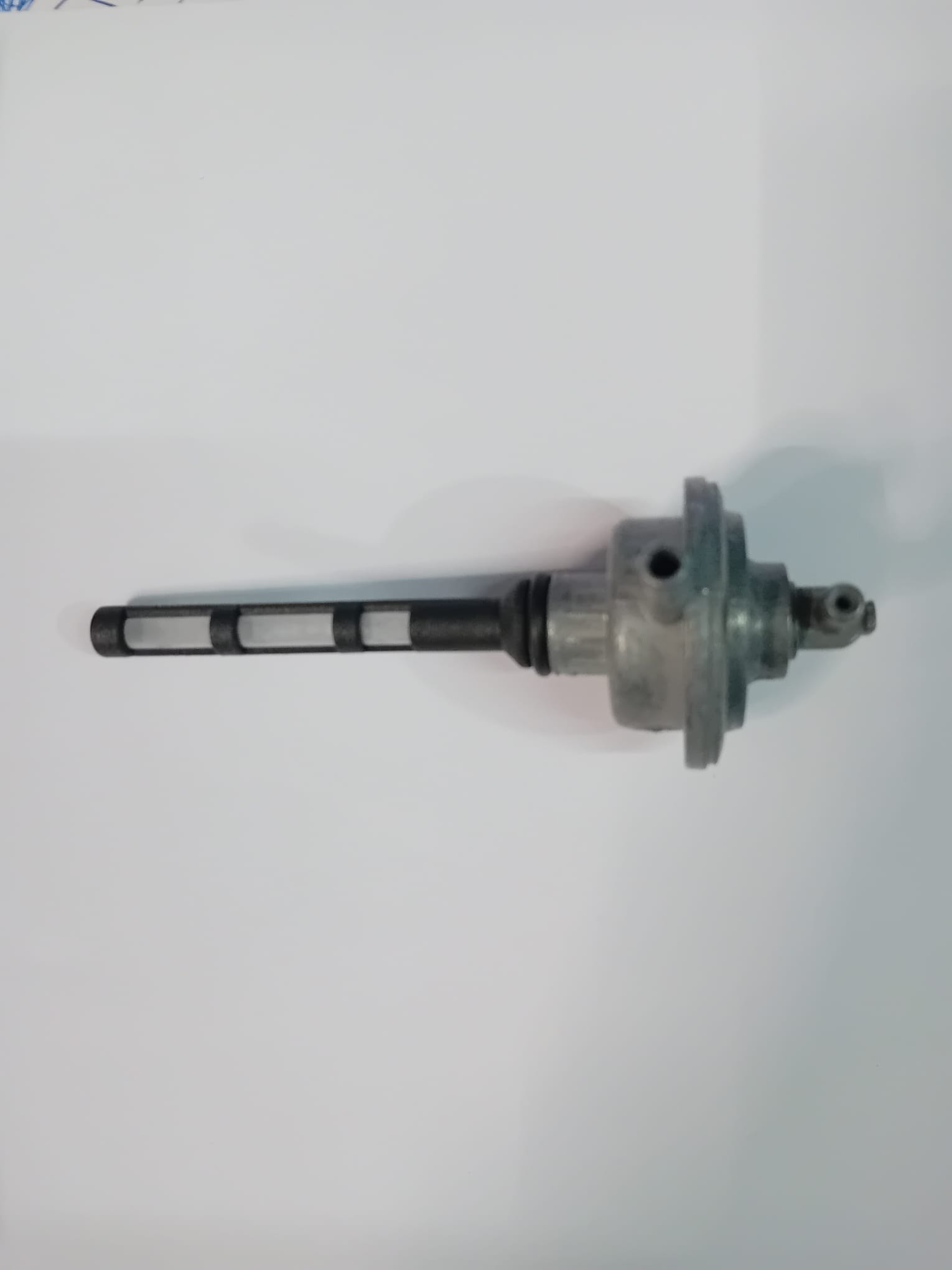 grifo-gasolina-21120516